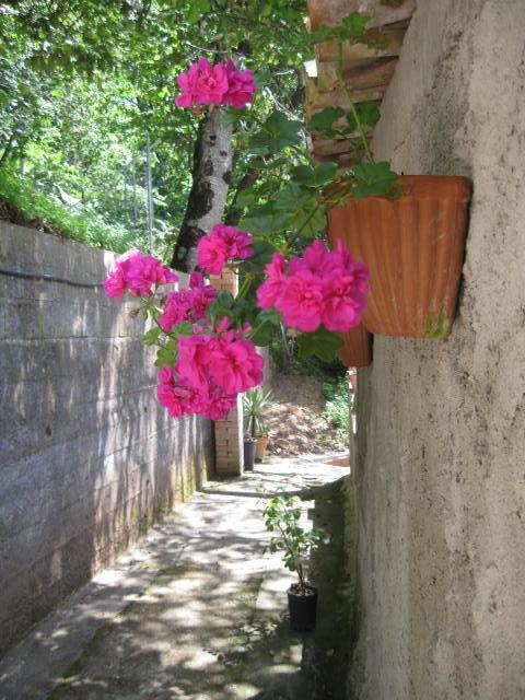 Casale Villa Irina Lago (Calabria) Exterior foto